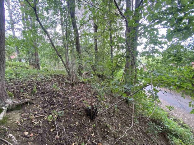 Prodej pozemku, Jindřichovice, 446 m2