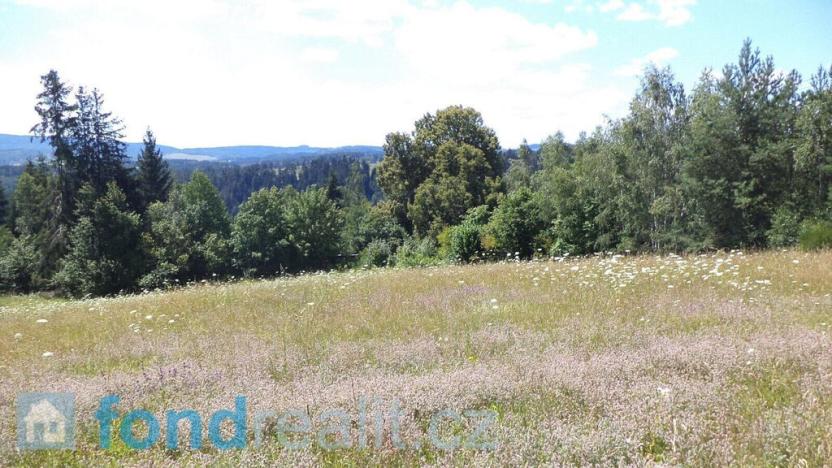 Prodej pole, Přídolí - Všeměry, 13471 m2