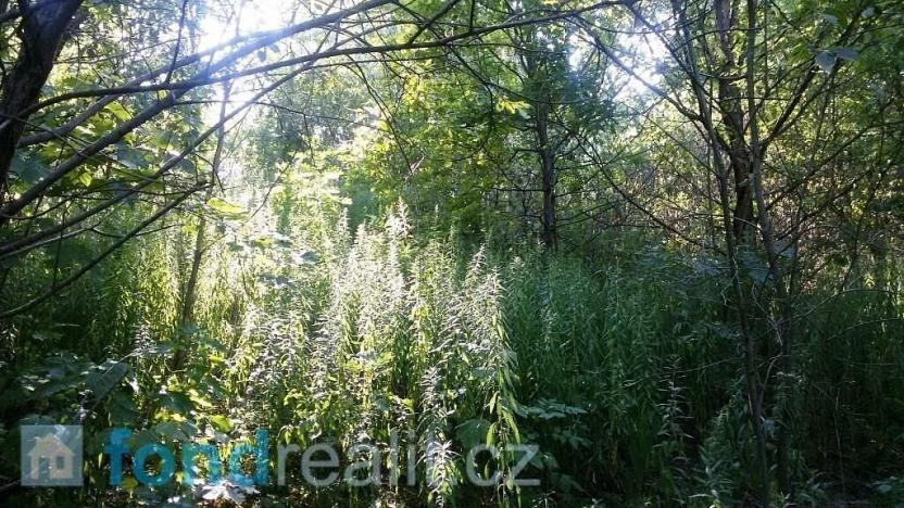 Prodej pozemku, Ostrava, 1510 m2