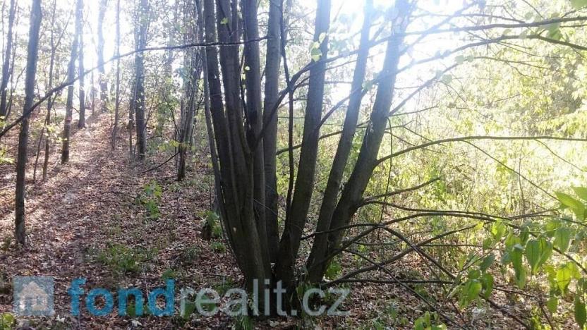 Prodej pozemku, Ostrava, 1510 m2