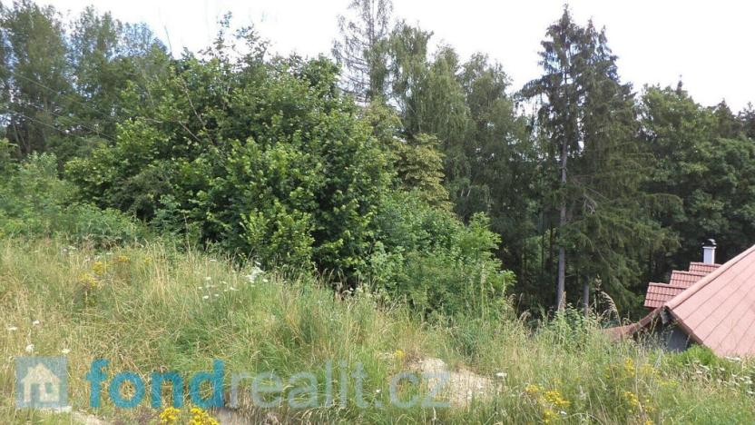 Prodej pozemku, Nové Hrady, 766 m2