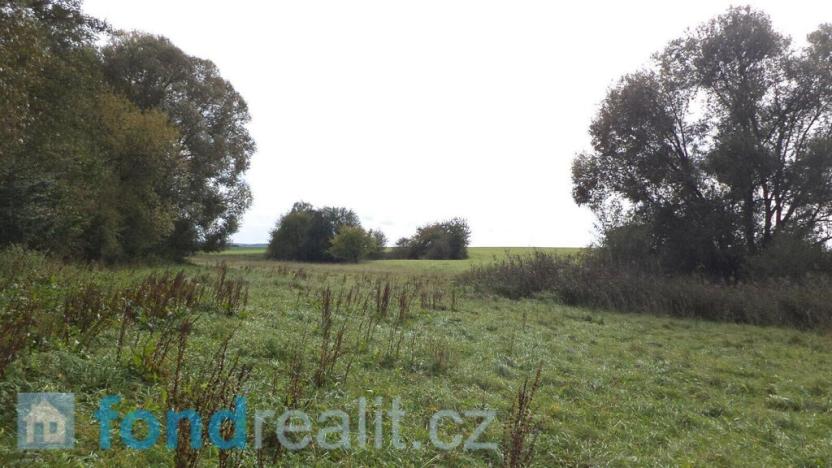 Prodej pole, Rosovice, 1718 m2