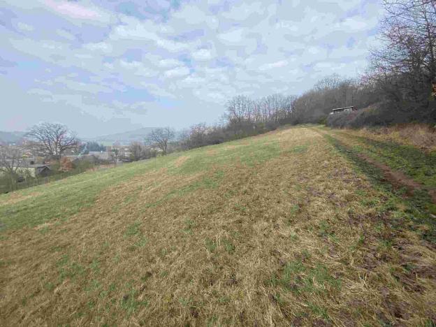 Prodej pozemku, Linhartice, 7394 m2