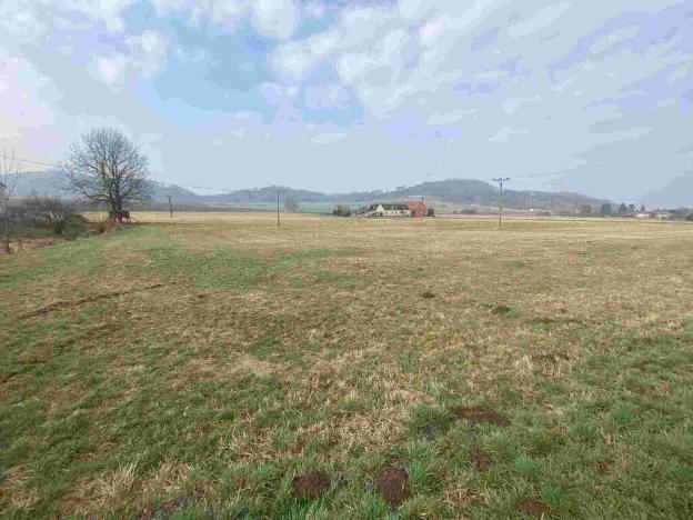 Prodej pozemku, Linhartice, 15629 m2