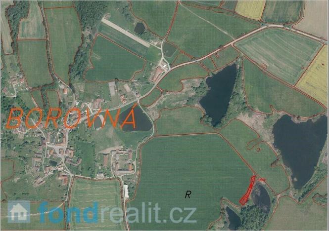 Prodej pozemku, Borovná, 1225 m2