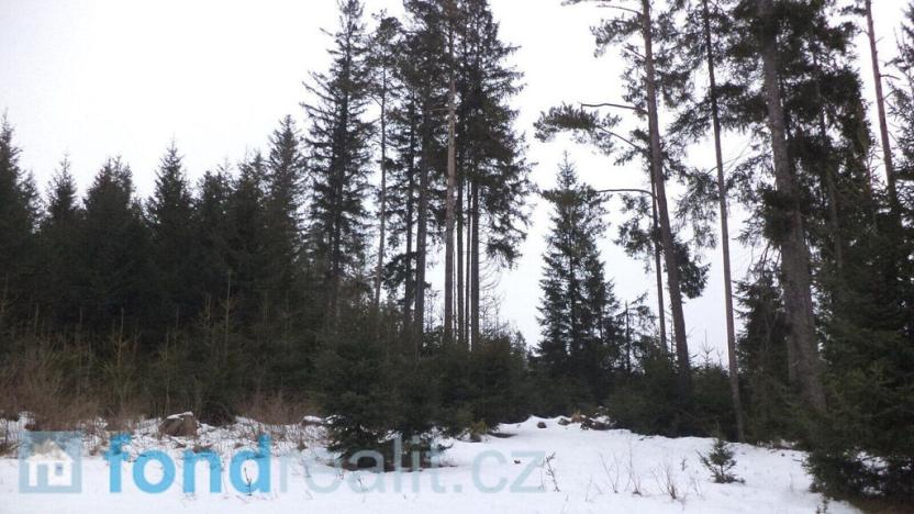 Prodej pozemku, Nová Bystřice - Blato, 19660 m2