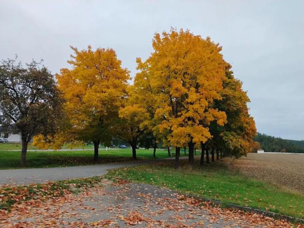 Pronájem bytu 2+kk, Kozojedy, 46 m2