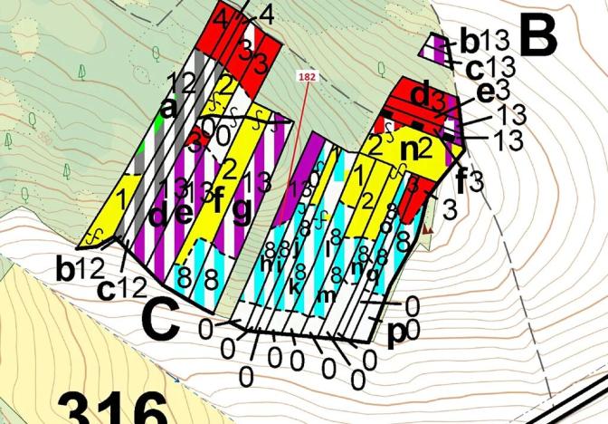 Dražba lesa, Klučov, 2665 m2