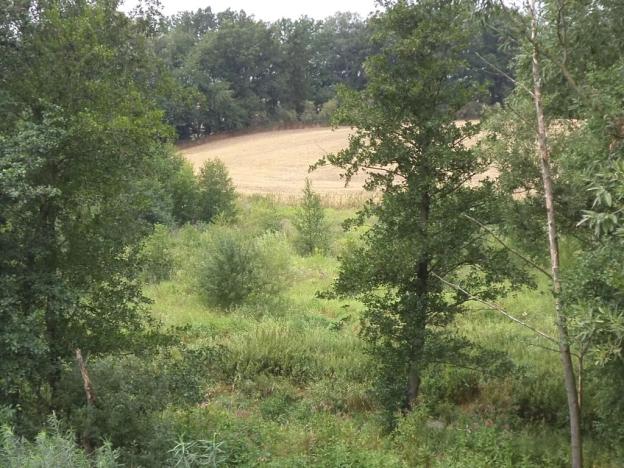 Dražba louky, Bohuslavice, 8942 m2