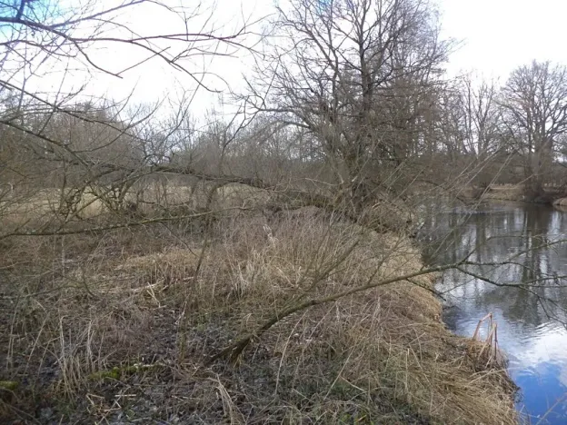 Dražba louky, Novosedly nad Nežárkou, 6591 m2