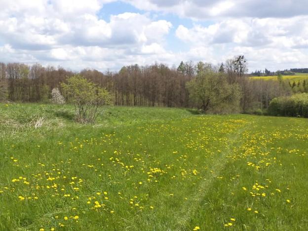 Dražba pozemku, Vítkov, 5357 m2