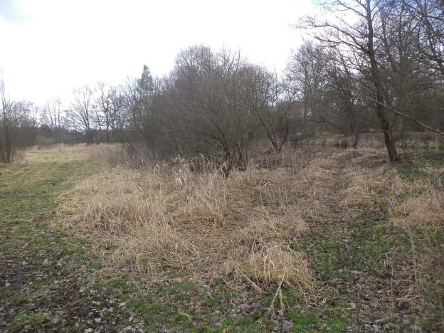 Prodej pozemku, Novosedly nad Nežárkou, 6591 m2