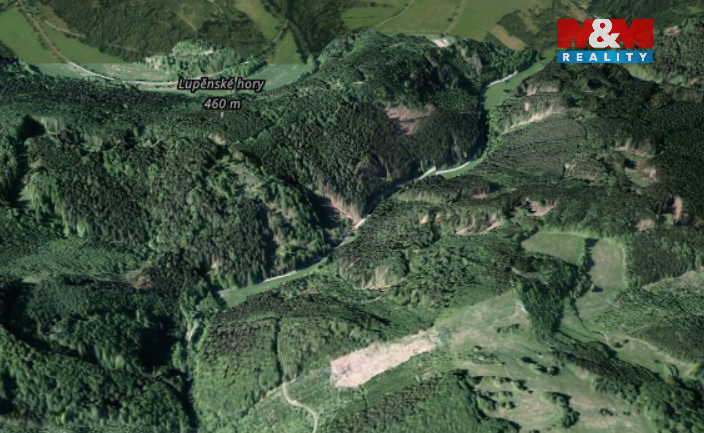 Prodej lesa, Nemile, 12967 m2