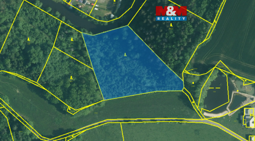 Prodej lesa, Římov - Branišovice, 9271 m2