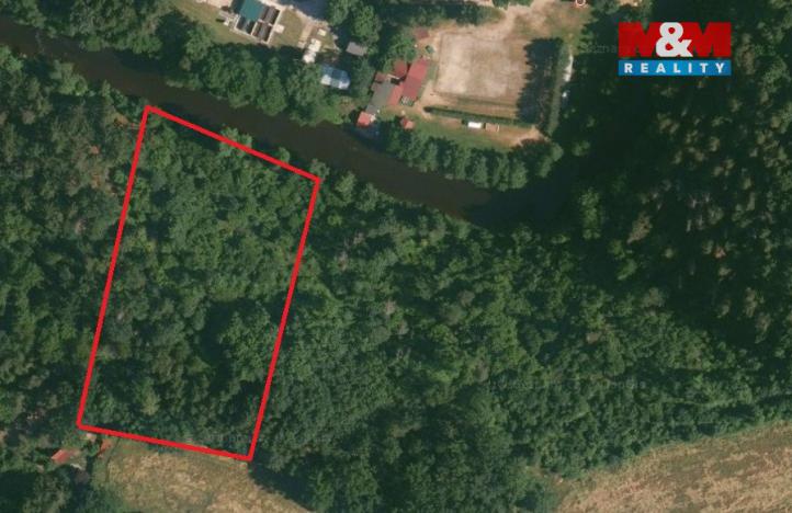 Prodej lesa, Římov - Branišovice, 6543 m2