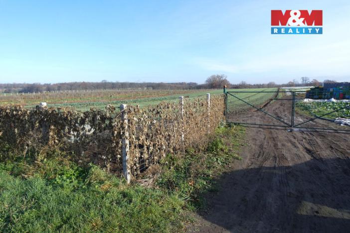 Prodej pole, Nové Dvory, 9979 m2