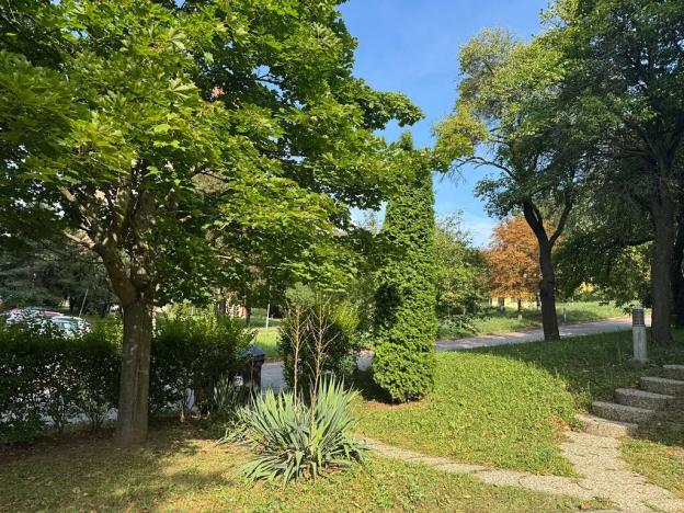 Prodej bytu 3+1, Brno, 106 m2