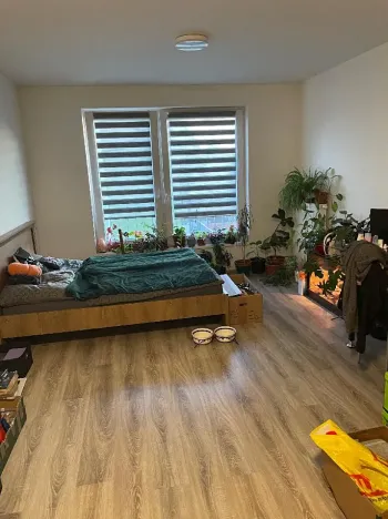 Pronájem bytu 1+kk, Pardubice, Na Spravedlnosti, 36 m2