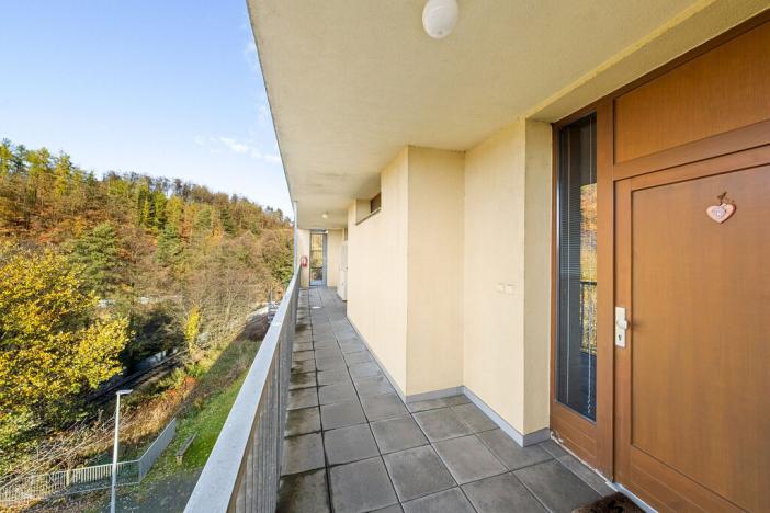 Prodej bytu 1+1, Týnec nad Sázavou - Brodce, Na Kněžině, 39 m2