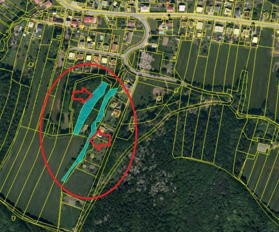 Prodej lesa, Háj ve Slezsku, 4689 m2