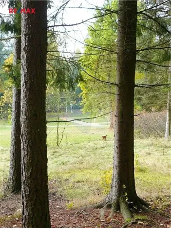 Prodej pozemku pro bydlení, Mariánské Lázně, Dobrovského, 1311 m2