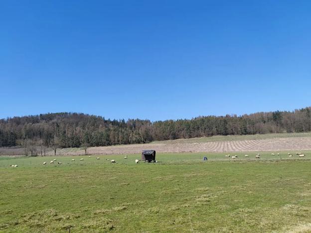 Prodej pozemku pro bydlení, Horažďovice, 1125 m2