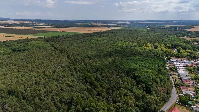 Prodej zemědělské usedlosti, Mělník, Chloumecká, 93 m2