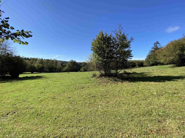 Prodej pole, Nový Rychnov - Čejkov, 7207 m2