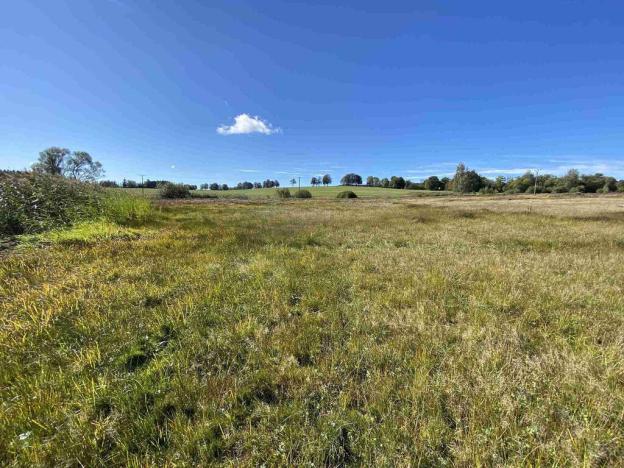 Prodej pole, Nový Rychnov - Čejkov, 7207 m2