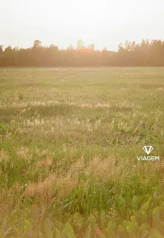 Prodej pole, Blatno, 7300 m2