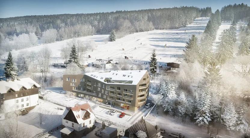 Prodej bytu 3+kk, Železná Ruda, 71 m2