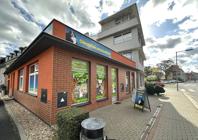 Pronájem obchodního prostoru, Humpolec, Nerudova, 67 m2
