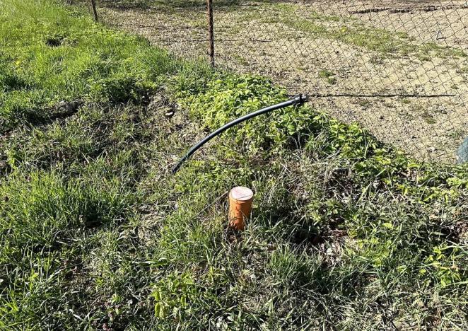 Prodej zahrady, Šlapanov, 989 m2