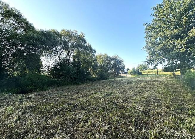 Prodej pozemku pro bydlení, Sedlice, 771 m2