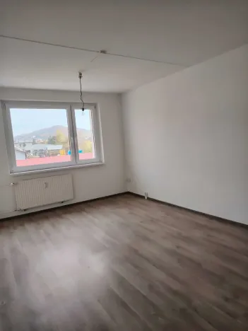 Pronájem bytu 1+1, Karlovy Vary, Celní, 43 m2