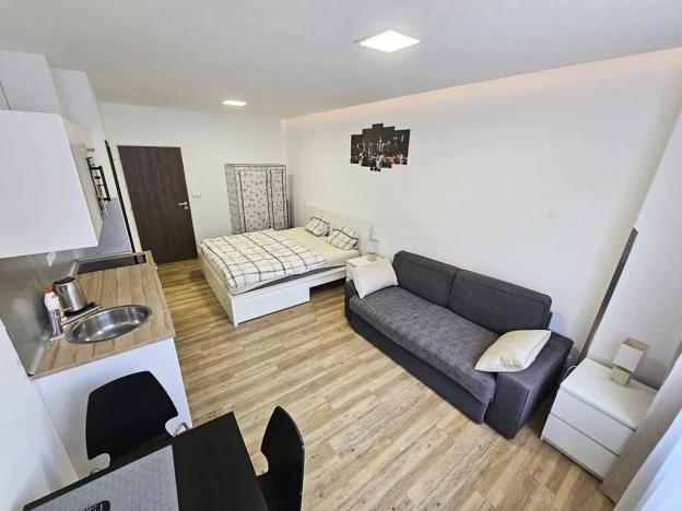 Pronájem bytu 1+kk, Praha - Nové Město, Opletalova, 22 m2