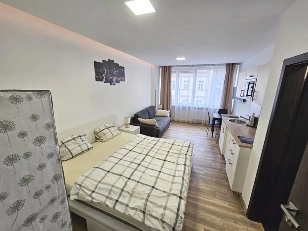 Pronájem bytu 1+kk, Praha - Nové Město, Opletalova, 22 m2