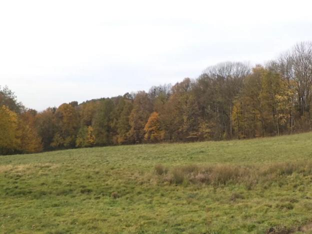 Dražba louky, Nový Jičín, 6670 m2