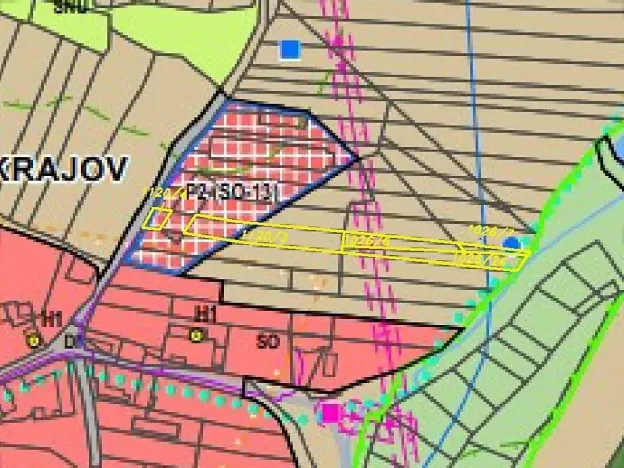 Dražba louky, Přeštěnice, 2817 m2