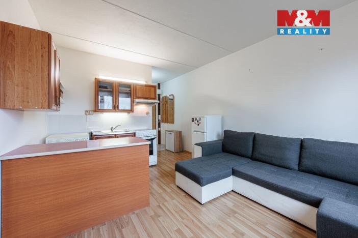 Prodej bytu 1+1, Chodov, Luční, 36 m2