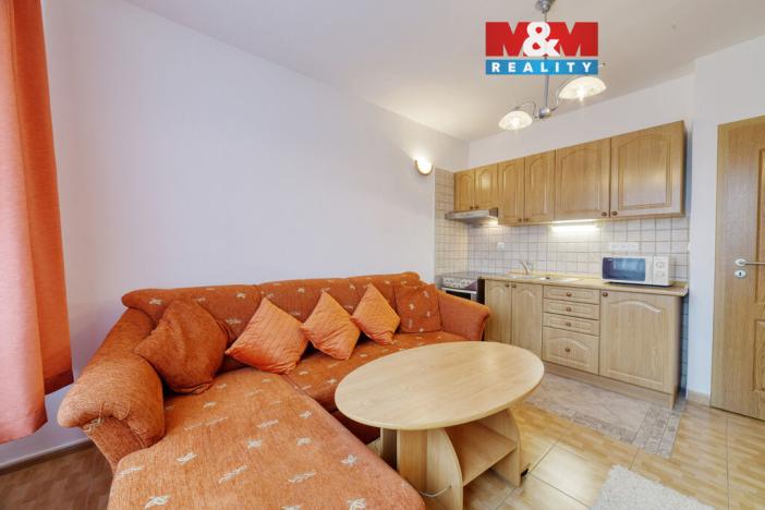 Pronájem bytu 1+kk, Mariánské Lázně - Úšovice, Tepelská, 20 m2