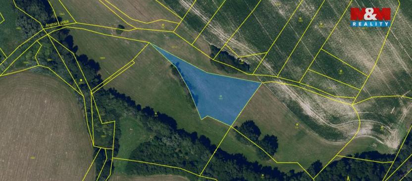 Prodej louky, Skuteč, 3101 m2