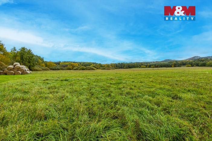 Prodej louky, Jestřebí, 14822 m2