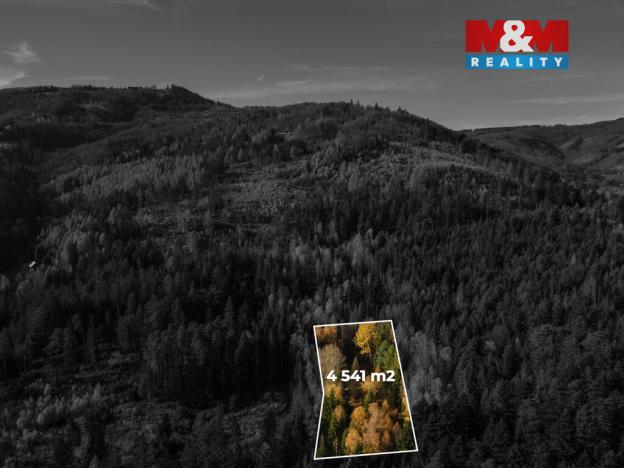 Prodej louky, Milíkov, 4541 m2