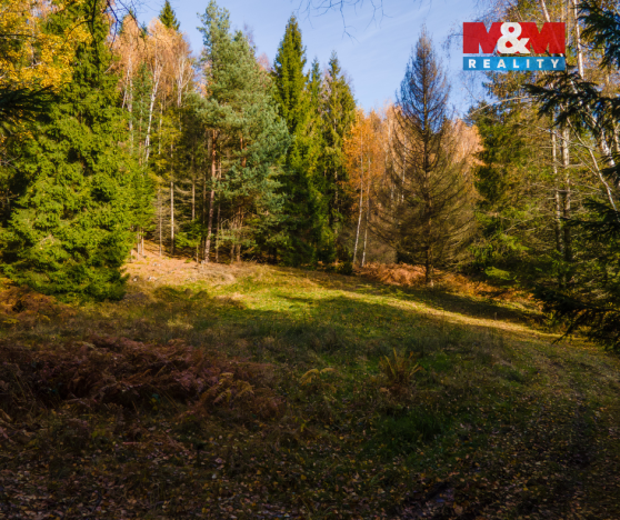 Prodej louky, Milíkov, 4541 m2