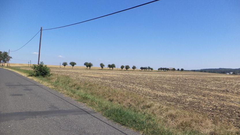 Prodej pozemku, Podbořany - Kněžice, 1801 m2