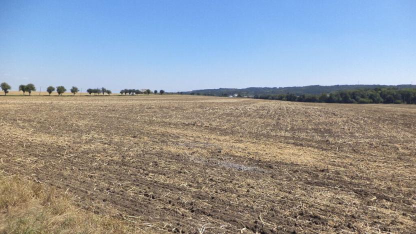 Prodej pozemku, Podbořany - Kněžice, 1801 m2