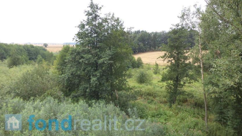 Prodej pozemku, Bohuslavice, 8942 m2