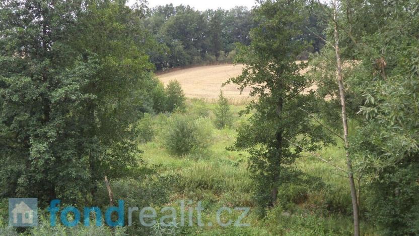 Prodej pozemku, Bohuslavice, 8942 m2
