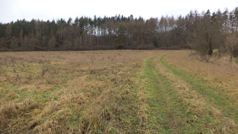 Prodej pole, Srby, 19946 m2